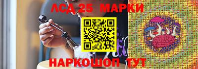 индика Обнинск