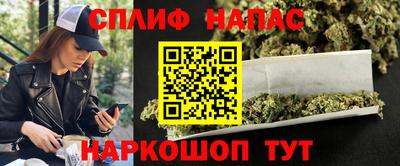 тгк Обь