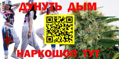 индика Обнинск
