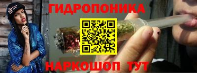 индика Обнинск