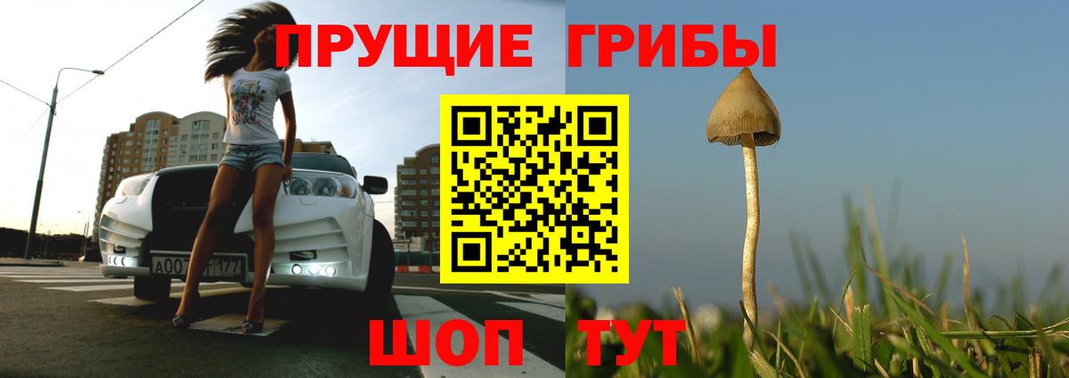 Таганрог  Псилоцибиновые грибы Psilocybine cubensis  Вход с VPN  Псилоцибиновые грибы ЛСД 